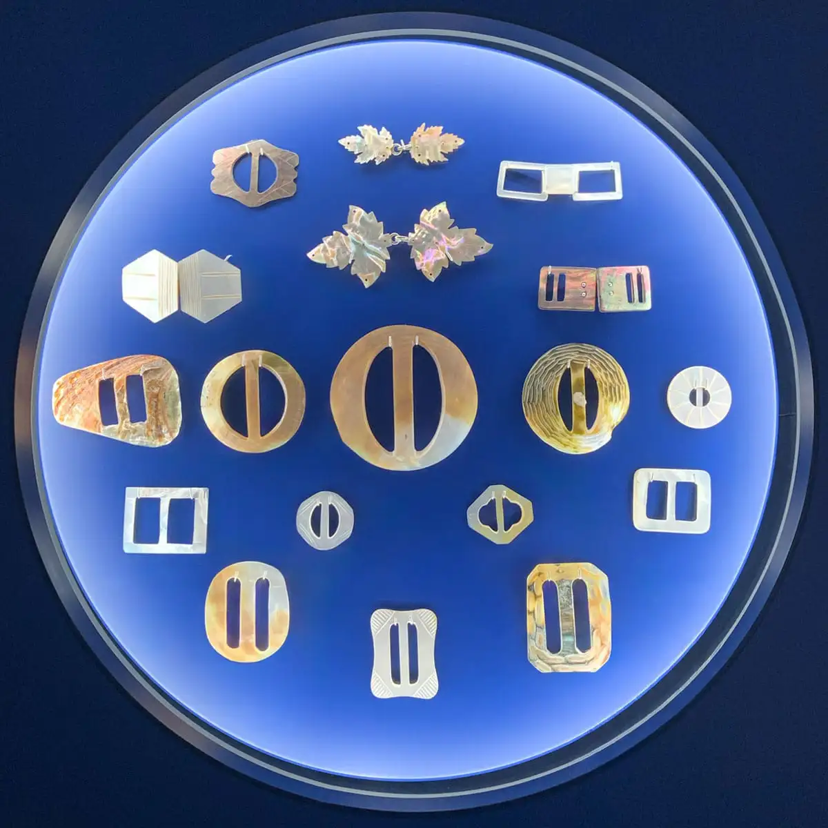 Runde Vitrine mit systematisch angeordneten Perlmutterelementen in unterschiedlichen Formen und Farbtönen.