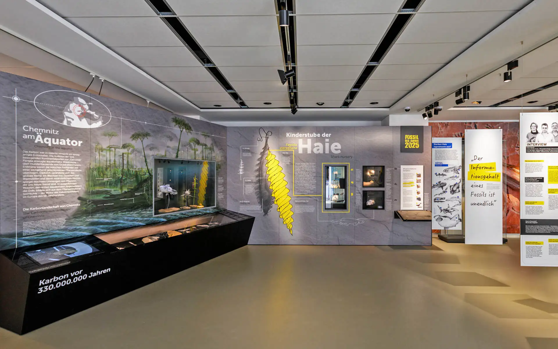 Blick in Ausstellung Fossil des Jahres 2025