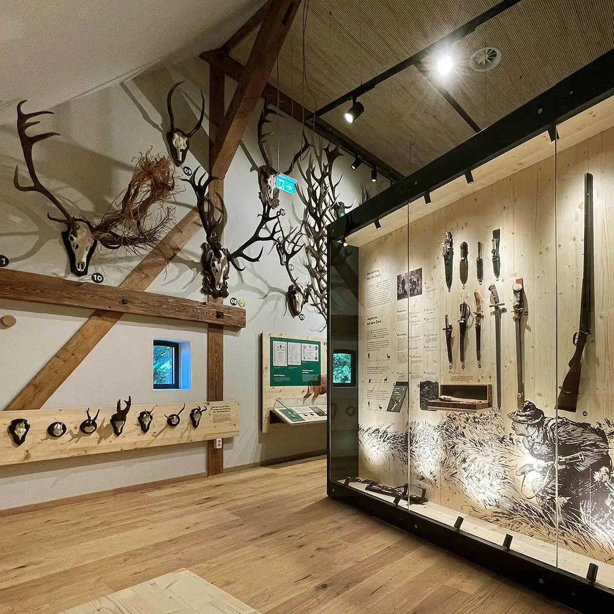 Ausstellungsbereich mit Geweihen an der Wand und Vitrine zu Jagdgerät.