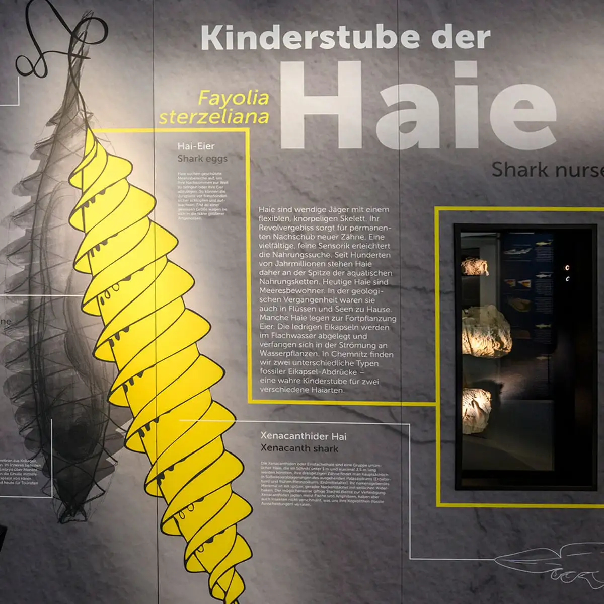 Nahaufnahme Wandtext Kinderstube der Haie