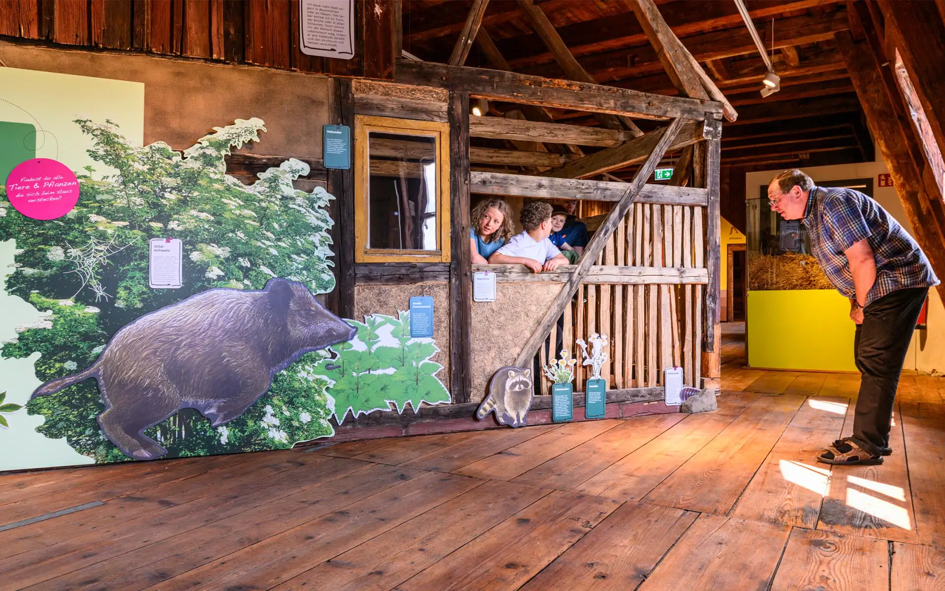 Großer Wildschwein-Aufsteller, Kinder schauen aus einem Stallfenster, Besucher betrachtet die Szene