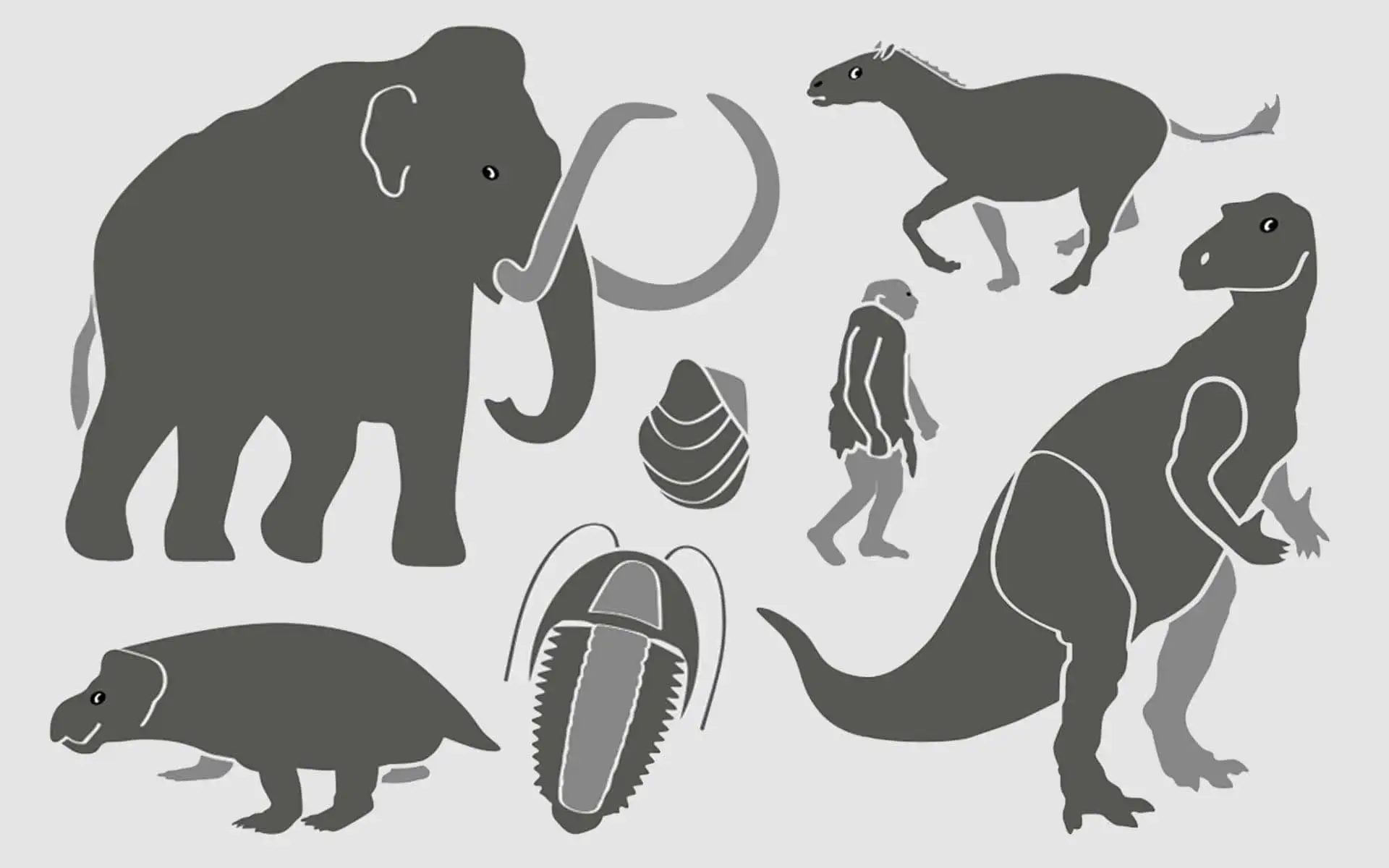 Illustrationen verschiedener Erdzeitalter und typischer Lebewesen.