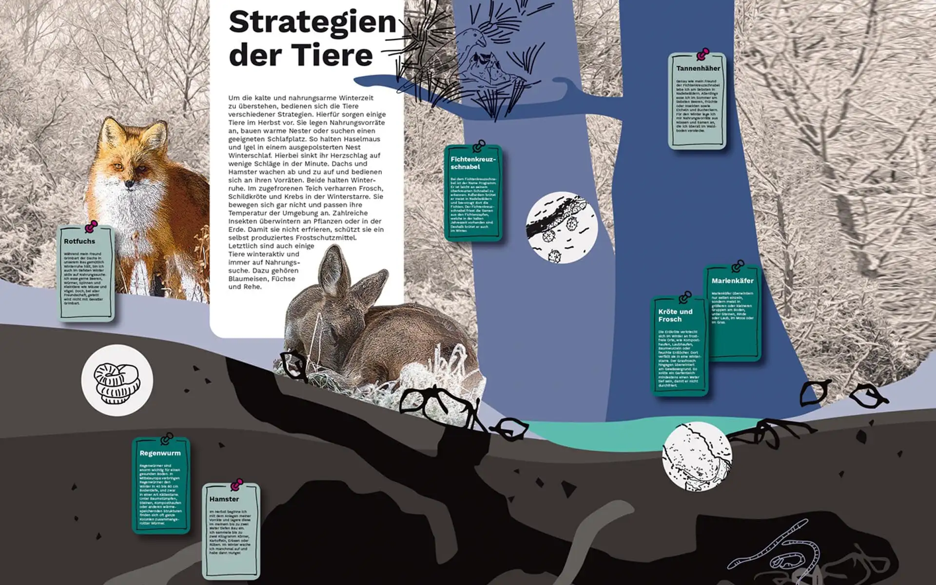 Illustration zum Tierverhalten mit schematischen Boden- und Höhlendarstellungen.