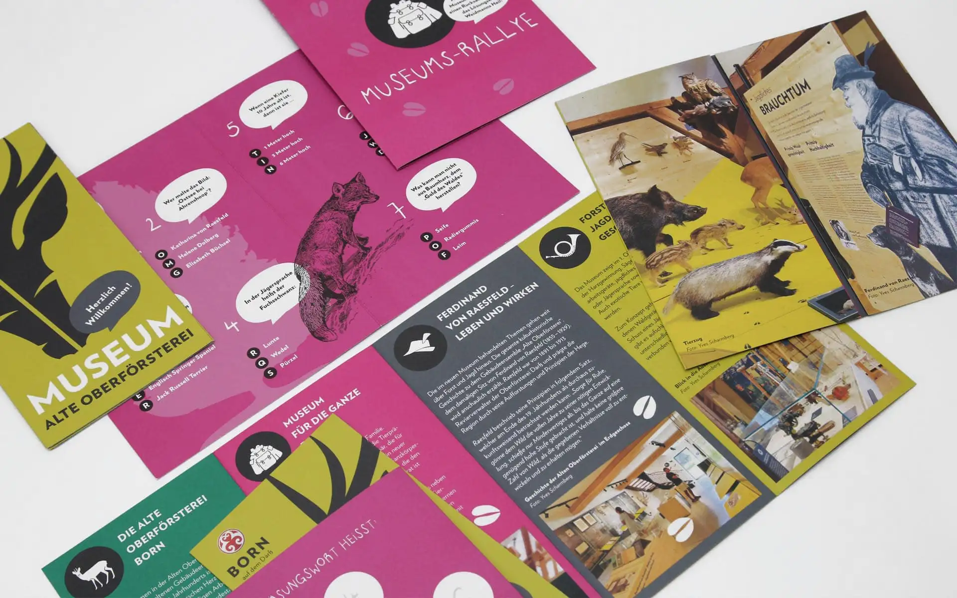 Ausgelegte Printmaterialien des Museums Alte Oberförsterei: Karten, Flyer und Infoseiten mit Illustrationen und Fotos.