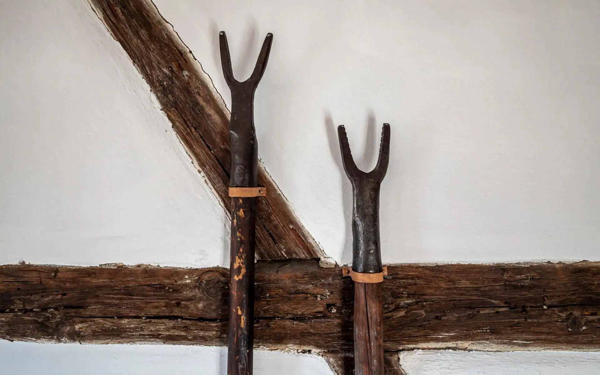 Heller Gastraum mit großen Fensterflächen, Sitzbereich und Blick auf die funktional gestaltete Theke.