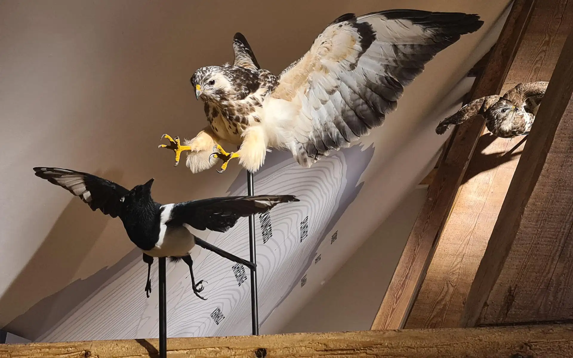 Vertikale Holzlamellen als transparenter Raumteiler zwischen Gastraum und Thekenbereich mit integrierter Beleuchtung.