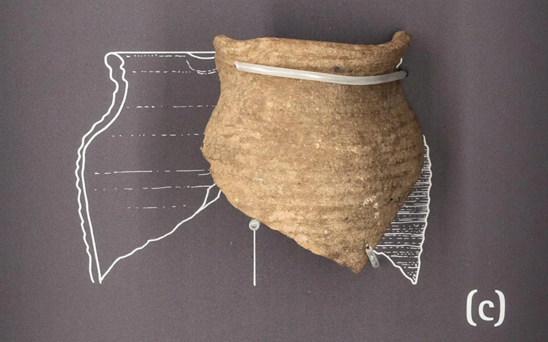 Teil eines historischen Keramikgefäßes mit zeichnerischer Rekonstruktion an der Wand.