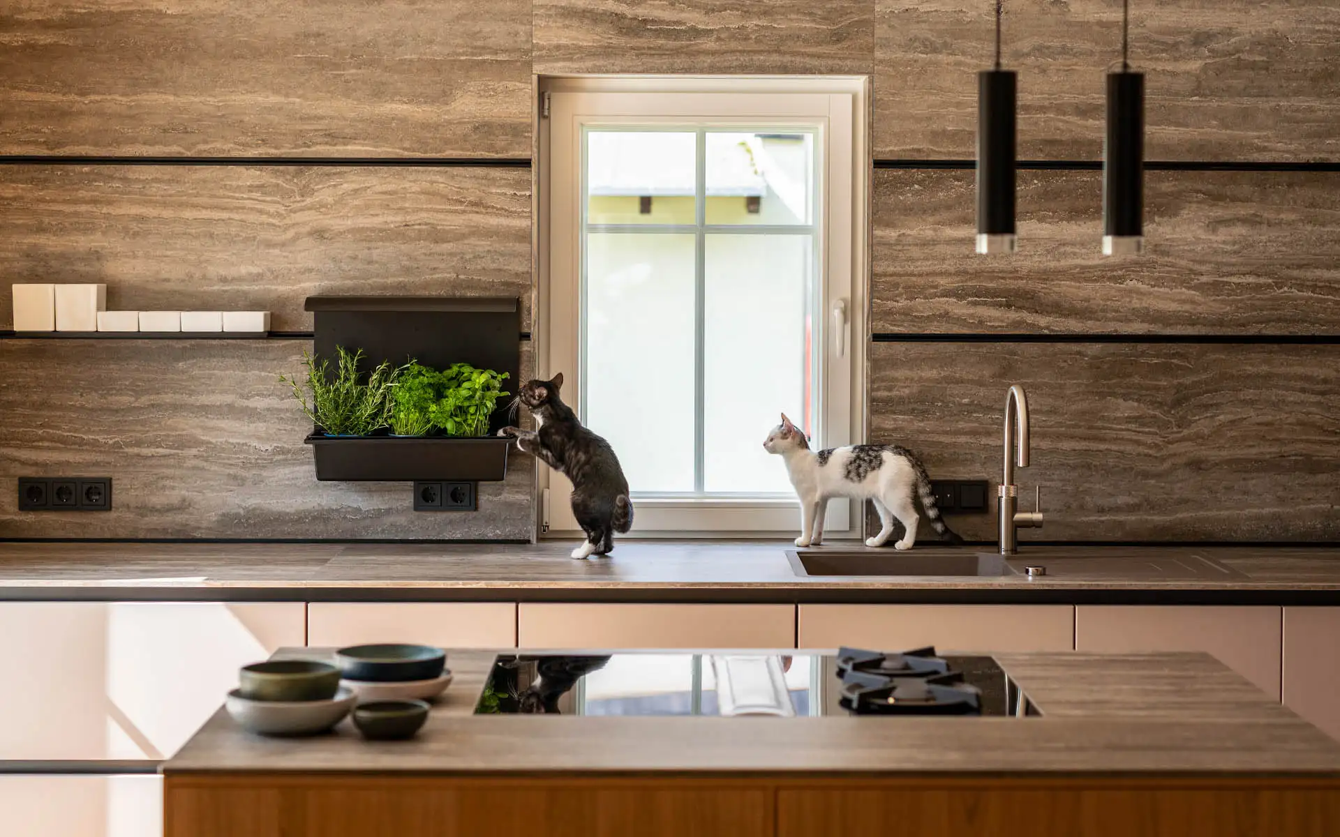 Moderne Küche mit steinfarbener Rückwand, Kräuterregal und zwei Katzen auf der Arbeitsfläche.
